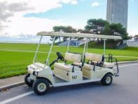 Golf cart coupon put in bay